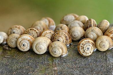 《魔咒之地》PC配置需求太高 玩家质疑游戏没优化好