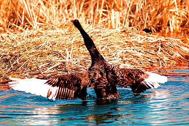 育碧+Classics将加入PS Plus 首发共27款游戏